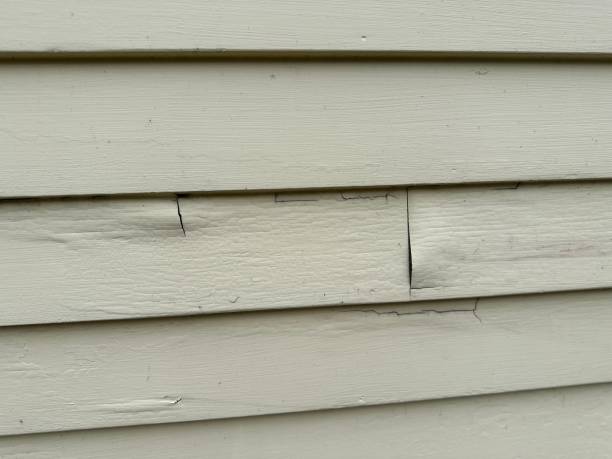 Best Aluminum Siding Installation  in Echelon, NJ